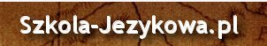 Kurs językowy i szkolenia, Tłumacz norweski