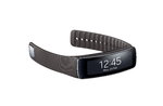 Gear Fit Grey.jpg