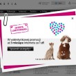 3 miesiące internetu za 1 zł na Walentynki od Netii